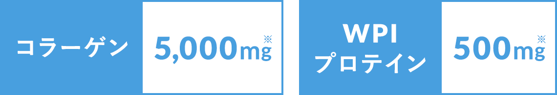 コラーゲン 5000mg WPIプロテイン 500mg