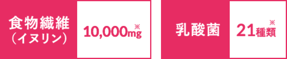 食物繊維(イヌリン)10,000mg 乳酸菌21種類