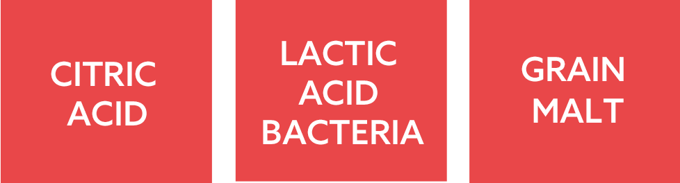 CITRIC ACID / LACTIC ACID BACTERIA / GRAIN MALT