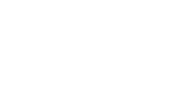 Collagen X Protain